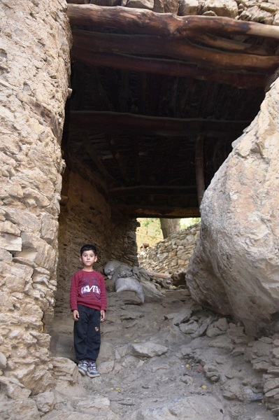 Foto - Görenler mest oluyor! 3 asırdır zamana direniyorlar