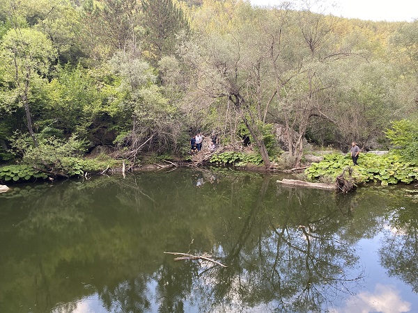 Foto - Görenler mest oluyor! Ağaçlar arasındaki saklı gölet keşfedilmeyi bekliyor