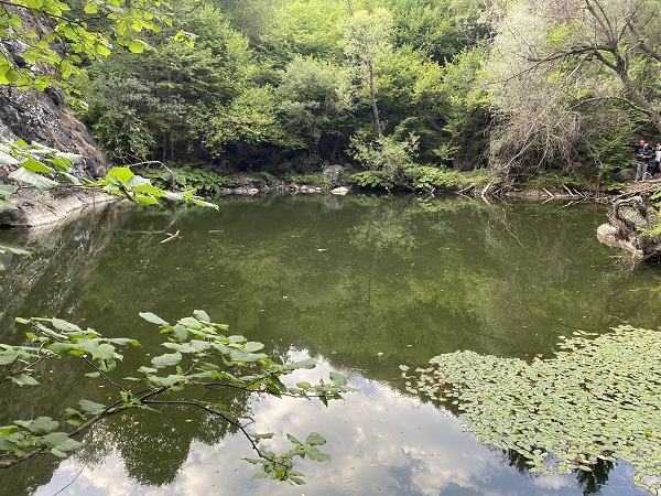Foto - Görenler mest oluyor! Ağaçlar arasındaki saklı gölet keşfedilmeyi bekliyor