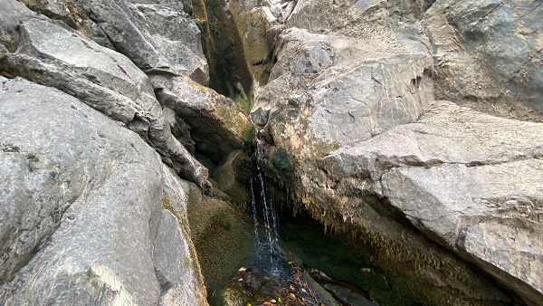 Foto - Görenler mest oluyor! Ağaçlar arasındaki saklı gölet keşfedilmeyi bekliyor