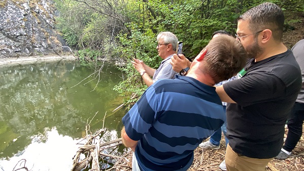 Foto - Görenler mest oluyor! Ağaçlar arasındaki saklı gölet keşfedilmeyi bekliyor