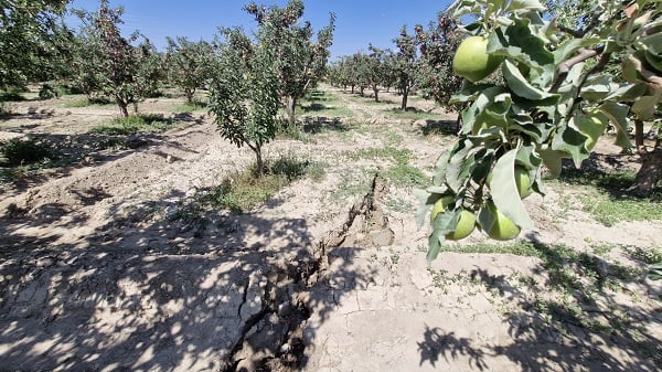 Foto - Görenler ne olduğuna anlam veremedi! 100 metrelik yarık köydekileri korkuttu