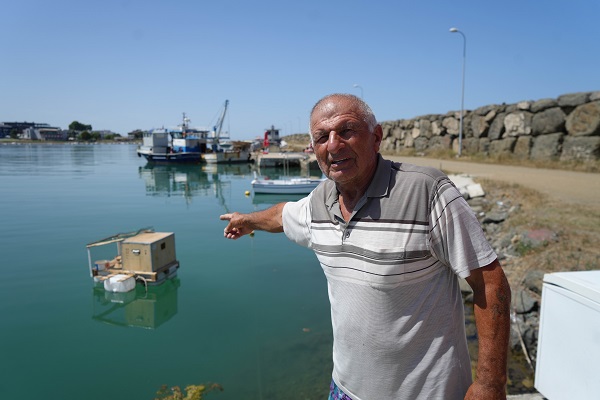 Foto - Görenler ne olduğuna anlam veremiyor! Bu da yüzen kümes