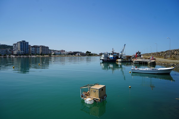 Foto - Görenler ne olduğuna anlam veremiyor! Bu da yüzen kümes