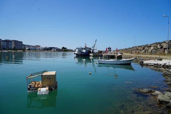 Foto - Görenler ne olduğuna anlam veremiyor! Bu da yüzen kümes