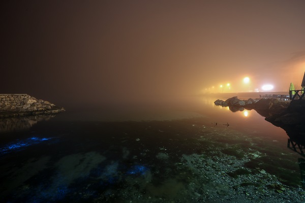 Foto - Görenler ne olduğunu anlamaya çalıştı! Bu görüntüler Bursa’da kaydedildi