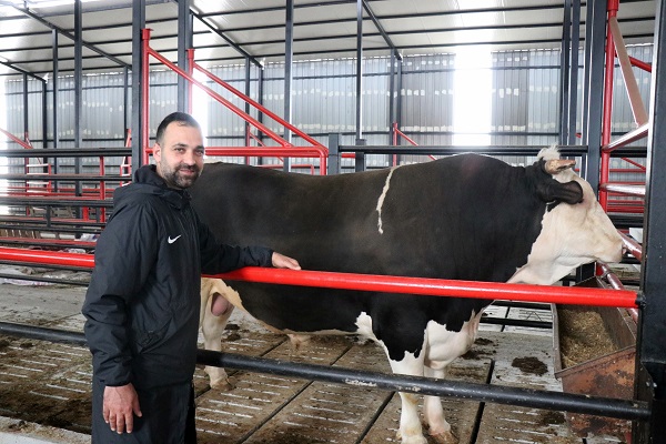 Foto - Görenler şaşıp kalıyor! Bu tosunun fiyatı da ağırlığı da otomobille yarışacak türden