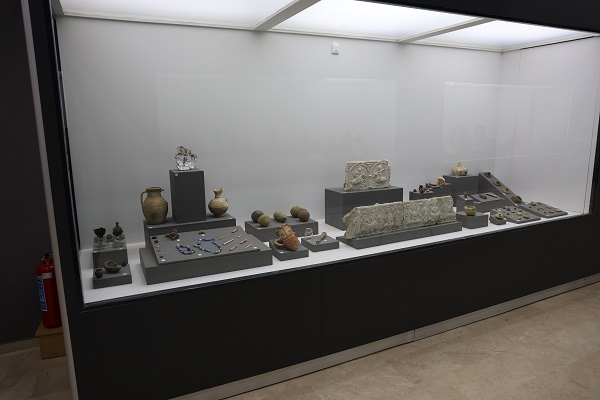 Foto - Görenler şaşıp kalıyor! Tam 500 yıllık