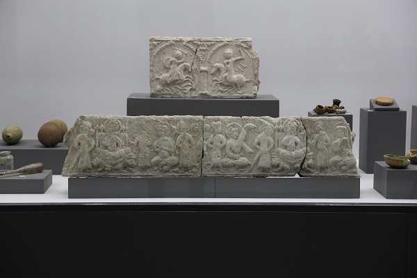 Foto - Görenler şaşıp kalıyor! Tam 500 yıllık