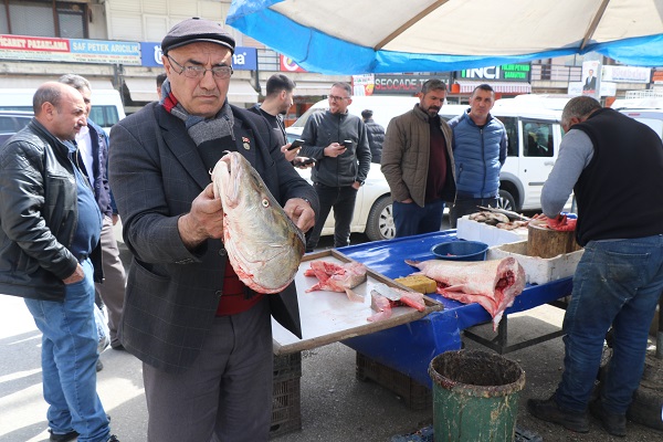 Foto - Görenler şaşırıp kaldı! Kilosu 250 TL