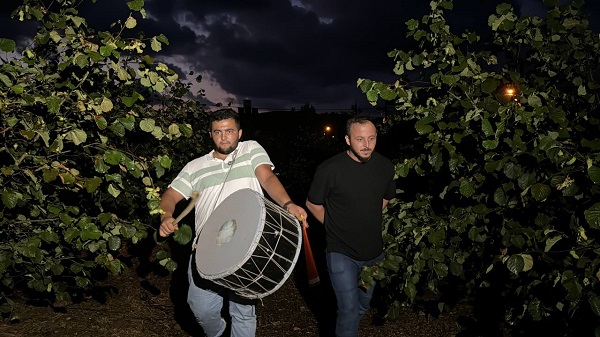 Foto - Görenler şaşırıp kalıyor! Fındıkları bakın yaban hayvanlarından nasıl koruyor