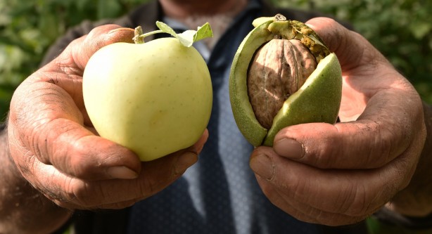 Görenler şaşırıp kalıyor! Hem Türkiye’nin en iyisi hem de sertifikalı