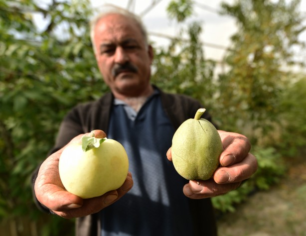 Foto - Görenler şaşırıp kalıyor! Hem Türkiye’nin en iyisi hem de sertifikalı
