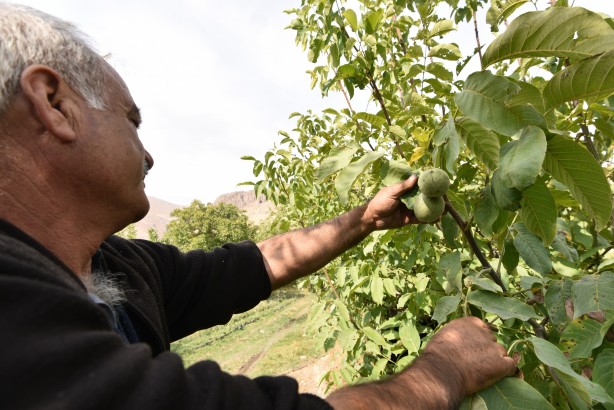 Foto - Görenler şaşırıp kalıyor! Hem Türkiye’nin en iyisi hem de sertifikalı