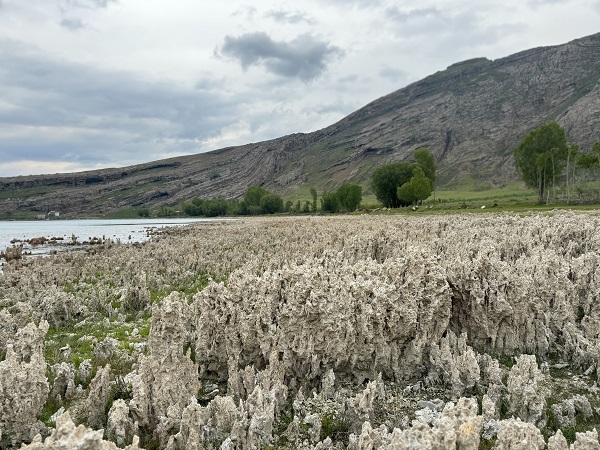 Foto - Görenler şaşırıp kalıyor! Sular çekilince ortaya çıktı! 