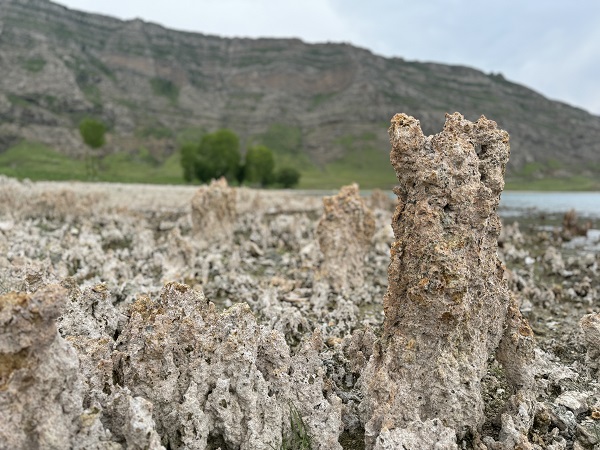 Foto - Görenler şaşırıp kalıyor! Sular çekilince ortaya çıktı! 