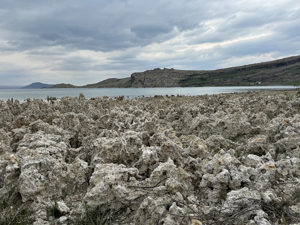 Foto - Görenler şaşırıp kalıyor! Sular çekilince ortaya çıktı! 