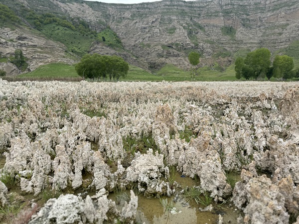 Foto - Görenler şaşırıp kalıyor! Sular çekilince ortaya çıktı! 