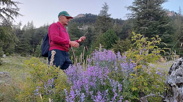 Foto - Görenler şaşkına dönüyor! 2 bin 100 rakımda hayranlık uyandıran o kaya