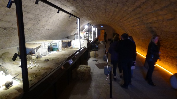 Foto - Görenler şaşkına dönüyor | İşte Türkiye’nin ilk ve tek peynir müzesi