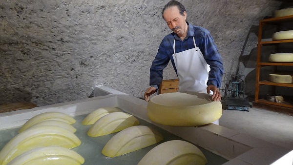 Görenler şaşkına dönüyor | İşte Türkiye’nin ilk ve tek peynir müzesi
