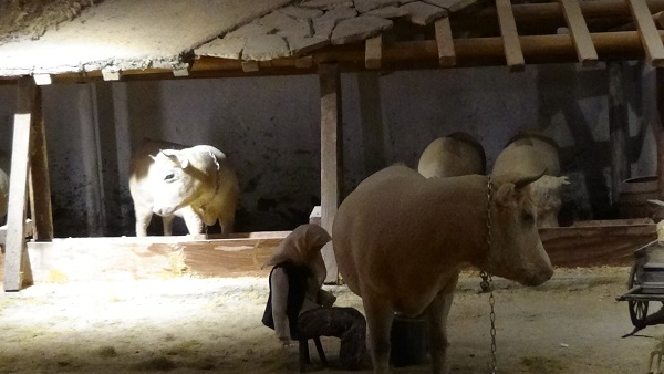 Foto - Görenler şaşkına dönüyor | İşte Türkiye’nin ilk ve tek peynir müzesi