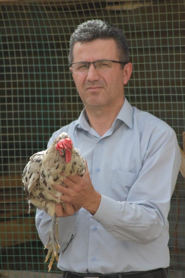 Foto - Türkiye'de tek! Görenler şaşkına dönüyor! Sizce tavuk mu horoz mu?