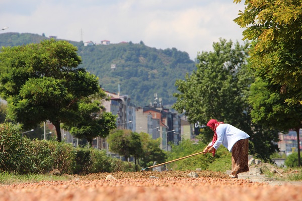 Foto - Görenler şaşkınlığını gizleyemedi! Karadeniz Sahil Yolu tanınmaz hale geldi