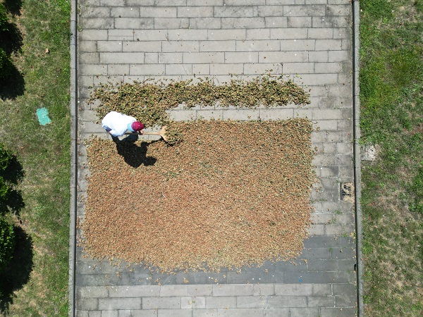 Foto - Görenler şaşkınlığını gizleyemedi! Karadeniz Sahil Yolu tanınmaz hale geldi