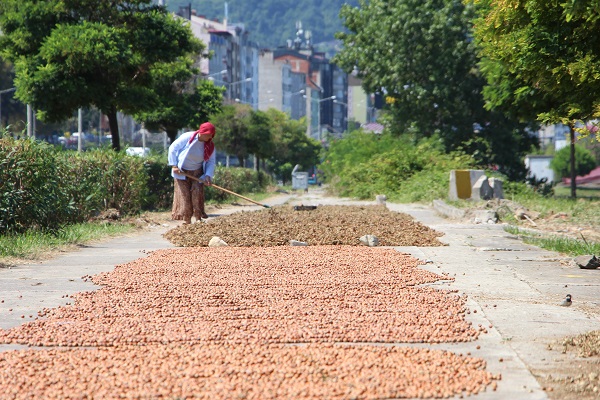 Foto - Görenler şaşkınlığını gizleyemedi! Karadeniz Sahil Yolu tanınmaz hale geldi