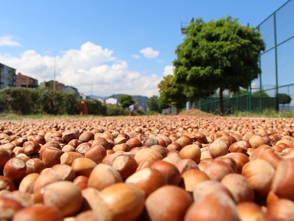 Foto - Görenler şaşkınlığını gizleyemedi! Karadeniz Sahil Yolu tanınmaz hale geldi
