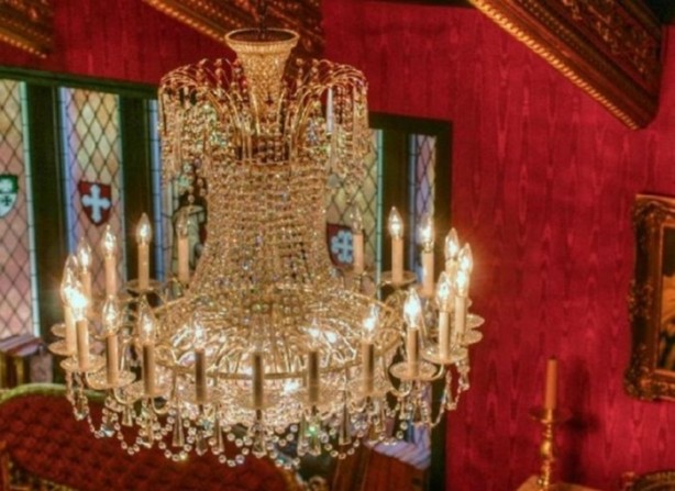 Foto - Görenler şaşkınlığını gizleyemiyor!