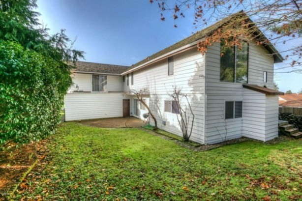 Foto - Görenler şaşkınlığını gizleyemiyor!