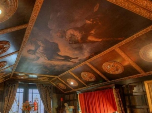 Foto - Görenler şaşkınlığını gizleyemiyor!