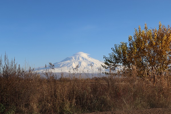 Görenler şaştı kaldı! 