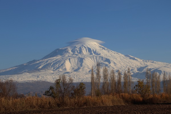 Foto - Görenler şaştı kaldı! 