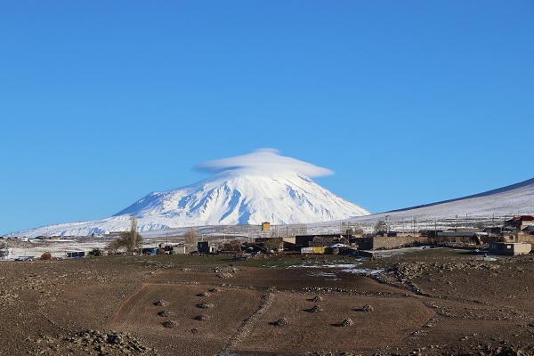 Foto - Görenler şaştı kaldı! 