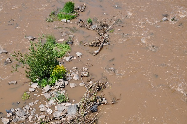 Foto - Görenler şaştı kaldı! Kars Çayı'nın son hali