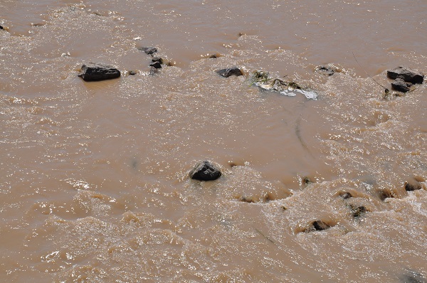 Foto - Görenler şaştı kaldı! Kars Çayı'nın son hali