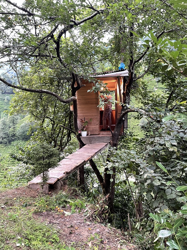 Foto - Görenler şaştı kaldı... Yerden tam 20 metre yükselikte