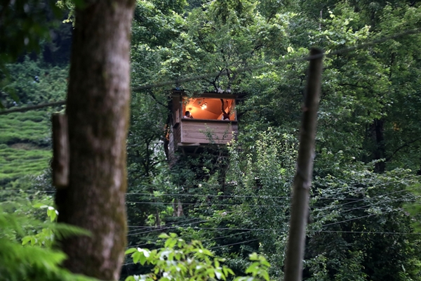 Görenler şaştı kaldı... Yerden tam 20 metre yükselikte