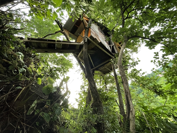 Foto - Görenler şaştı kaldı... Yerden tam 20 metre yükselikte