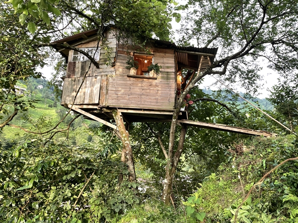 Foto - Görenler şaştı kaldı... Yerden tam 20 metre yükselikte
