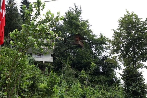 Foto - Görenler şaştı kaldı... Yerden tam 20 metre yükselikte