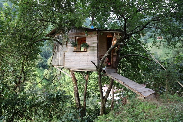 Foto - Görenler şaştı kaldı... Yerden tam 20 metre yükselikte