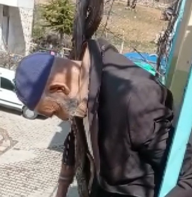 Foto - Görenler şok oldu! Yaşlı adam ağaçta asılı kaldı