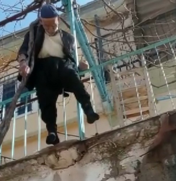 Görenler şok oldu! Yaşlı adam ağaçta asılı kaldı