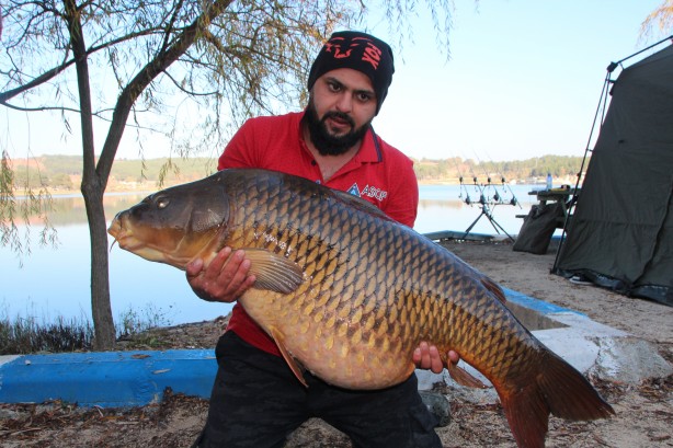 Görenlere hayretler içinde kaldı: Türkiye’nin en büyüğü bilecik’te yakalandı!