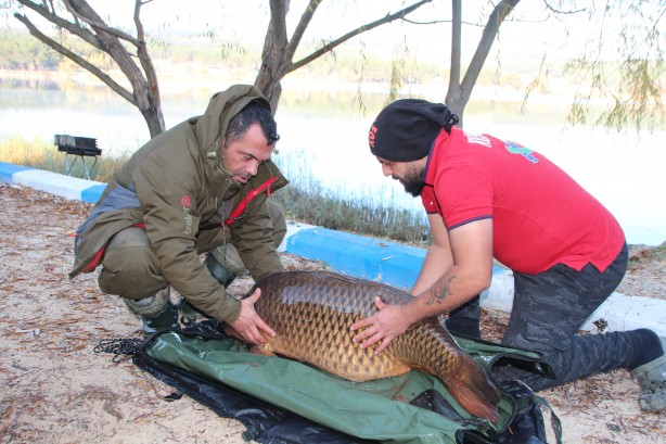 Foto - Görenlere hayretler içinde kaldı: Türkiye’nin en büyüğü bilecik’te yakalandı!