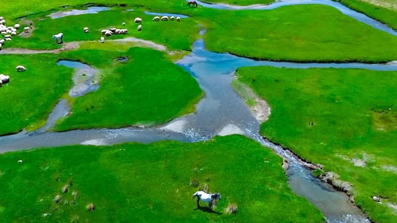 Foto - Görenleri adeta büyülüyor! 2 bin 800 metrede bir doğa masalı